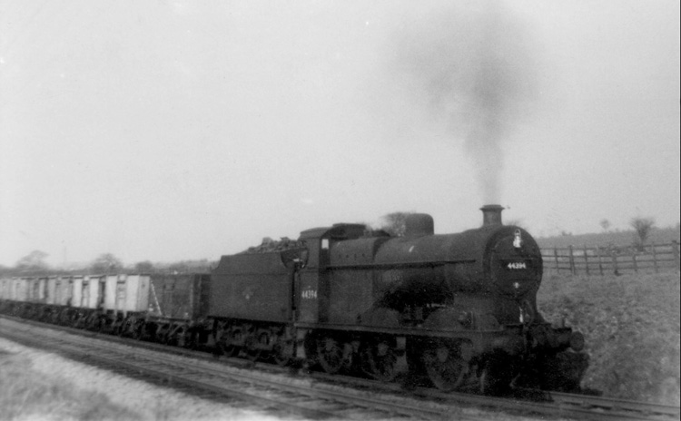 44394
