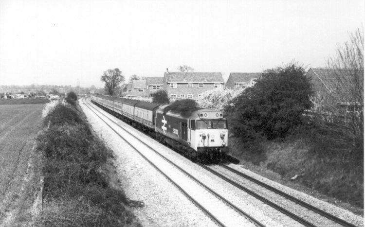 50006